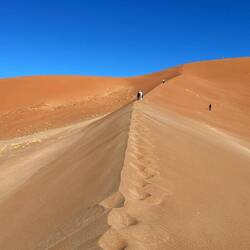 Die Dünen nehmen kein Ende