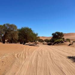 Die Holperpiste zum Sossusvlei