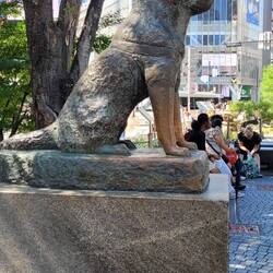 Hachikō Memorial Statue