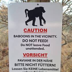 10 Minuten später haben wir keine Bananen mehr....