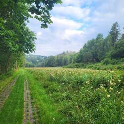 Wieder Plattenwege.