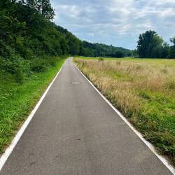 Der beste Fahrradweg heute 🙌🏽