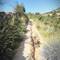 Ugh! A trough path