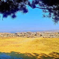 Hattusas