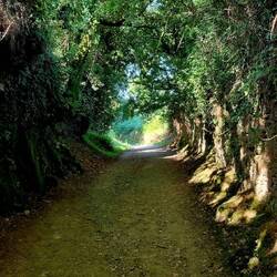 A rare glimpse of an empty path ahead