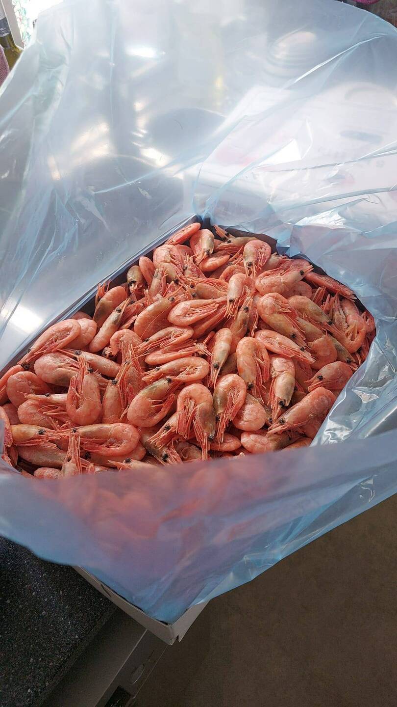 5 kilo heerlijkheid