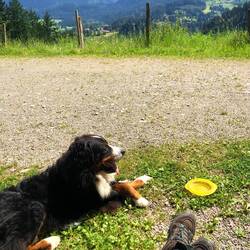 Mittagspäuschen mit Ausblick