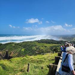 Muriwai scenic outlook