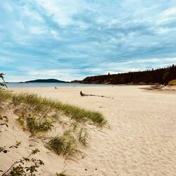 Sandy Beach - Traumhaft 😍