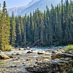 View next to the river
