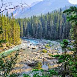 End of trail. Charlie is below at the river's edge