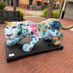 Go Jags!