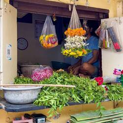 This man is making floral offering garlands ... Banganga Temple Tank Area — Mumbai, India.