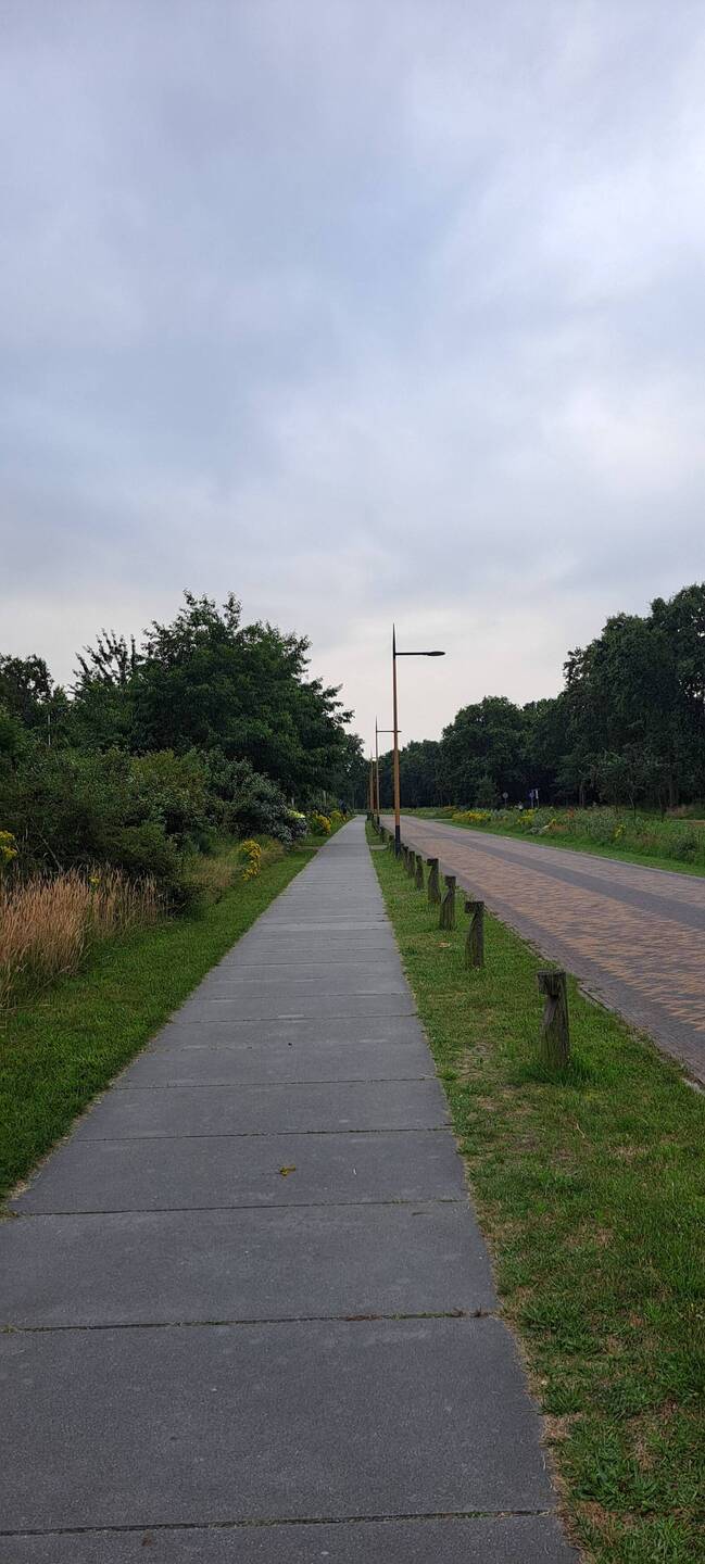 Flach und endlos... Joggen in Holland...