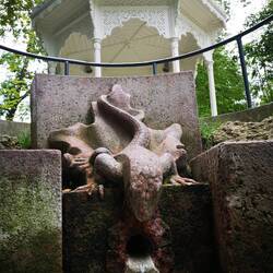 A lizard throwing up sulphur water