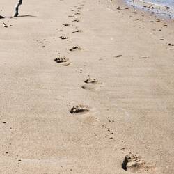 Phil's Footprints in the Sand