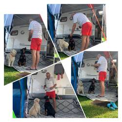 Uwe der Hundedomteur