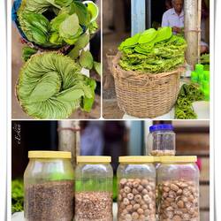 Betel leaves and nuts ... Lalbaug Spice Market — Mumbai, India.