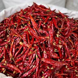 Lalbaug Spice Market — Mumbai, India.