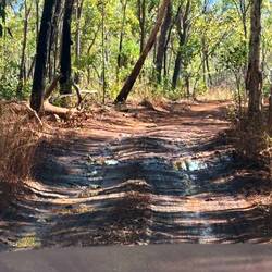 Rough road in to Jim Jim