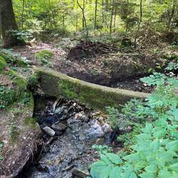 Old, cement footbridge. Daisy refused to walk across