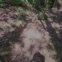 Unerwarteter Weise waren wir plötzlich auf einem Downhill Trail. War technisch sehr anspruchsvoll.