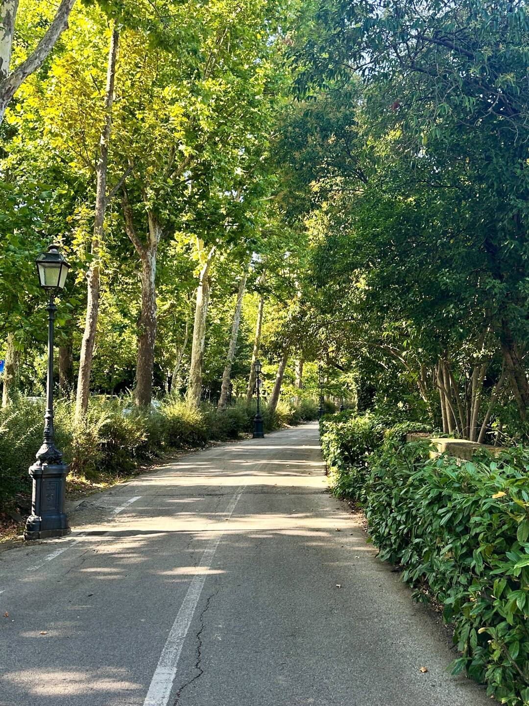 We joined lots of morning walkers on this lovely shady trail.