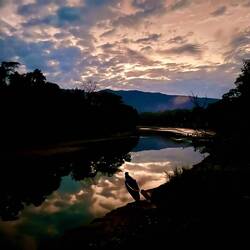 Sunrise from Treehouse Inn
