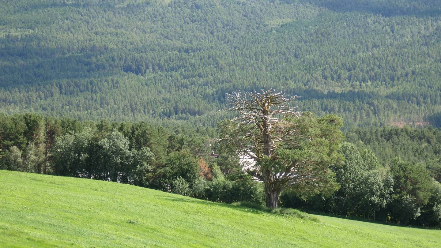 The view across the valley