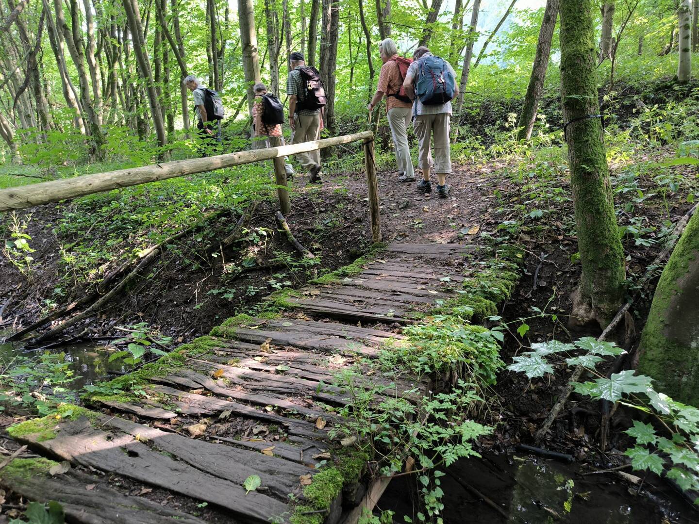 Brücke über die Nasse