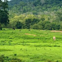 Kui Buri-Nationalpark