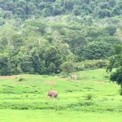 Kui Buri-Nationalpark