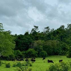 Kui Buri-Nationalpark