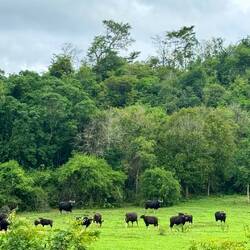 Kui Buri-Nationalpark