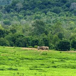 Kui Buri-Nationalpark