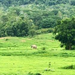 Kui Buri-Nationalpark