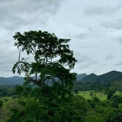 Kui Buri-Nationalpark