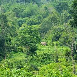 Kui Buri-Nationalpark