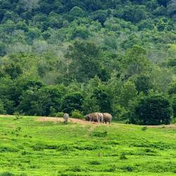Kui Buri-Nationalpark