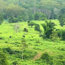 Kui Buri-Nationalpark
