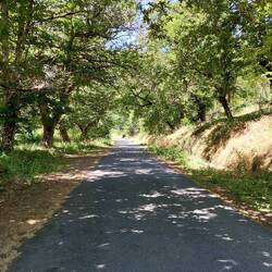 Weg nach Trabadelo. Davor ging es 7 Kilometer neber der Landstraße.