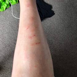 An der Straße habe ich einem Auto Platz gemacht und dabei übersehen bei welchen Pflanzen ich stand.