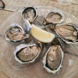 Ostrige vsaka v svoji luknjici na krožniku.