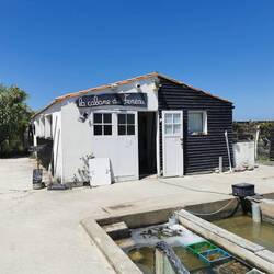 Zanimiva in odlična gostilnica.