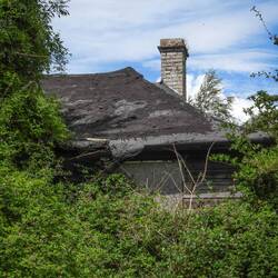 Another structure being reclaimed by the flora