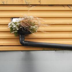 A bit of minimalist photography