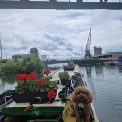 As far as we could get on the canal. High Bridge above and Low Bridge ahead.