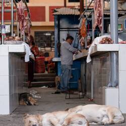 Mercado von Caraz
