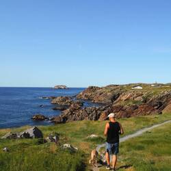 Auf dem Weg zu den Puffins