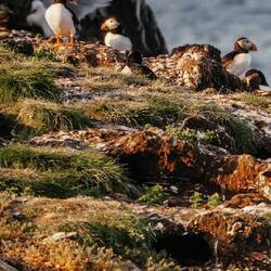 Ritaaaa, Wat kosten die Kondome?